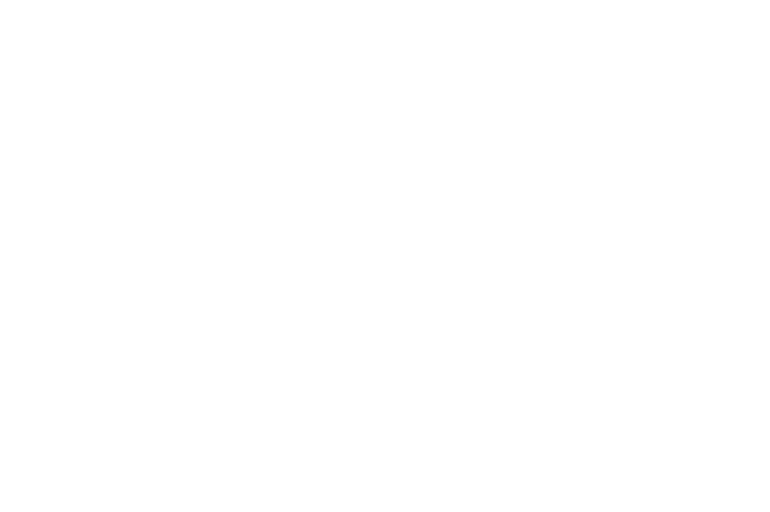 GitHub - richie0866/orca: A free and open-source universal script